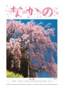 第195号 新年賀詞交歓会が盛大に
