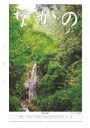第241号